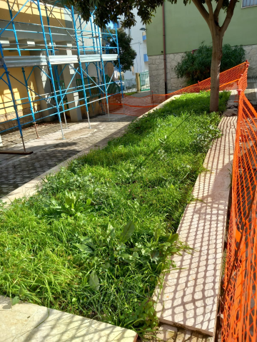 Tosatura prato, scerbatura e pulizia scuola in Via Diodoro Siculo - Ragusa